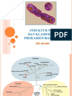 Kuliah 3 - Struktur Sel Dan Klasifikasi Prokariot