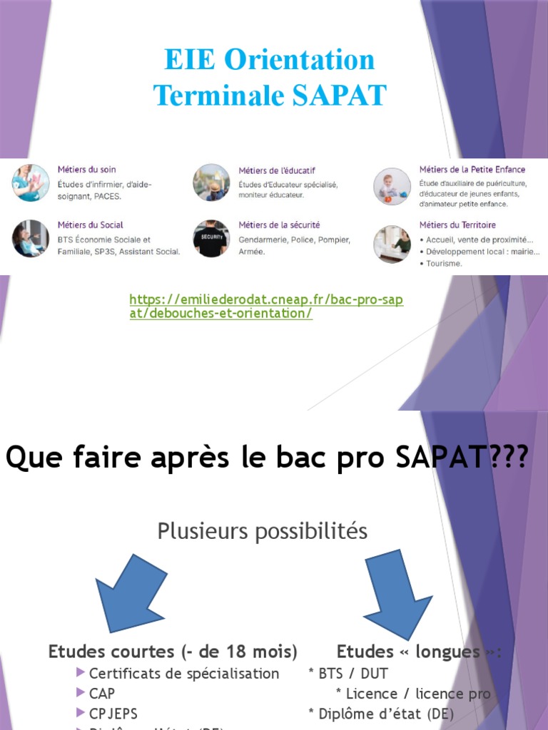 Que Faire Après Bac Pro Sapat PDF Soins de santé