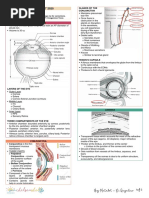 Anatomy of The Eye - Dr. Lim-Cecilio (2022)