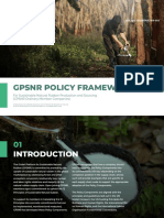 GPSNR Policy Framework Key Components