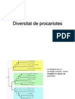 Tema 10. Diversitat Microbianaok