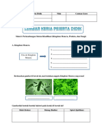 LKPD Kingdom Monera, Protista, Dan Fungi