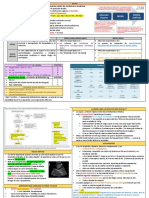 Sem 3-Resumen