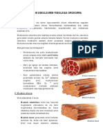 24 30 Muskuluaren Fisiologia Orokorra