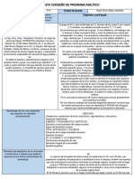 Programa Analitico 6º-1