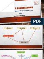 Clase Metabolismo