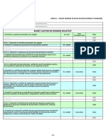 Anexa 2 - Buget Minimis Plan de Afaceri (Format Standard)