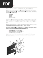 Download Problemas de Poleas Simples by Yasmin Monzon SN62340987 doc pdf