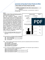 FT4 DNA-RNA-Sinteseproteica