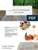 4.digestion of Carbohydrates