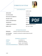 CURRICULUM VITAE (2)