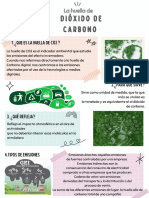 Sandra Anahi Infografía.Huella - CO2