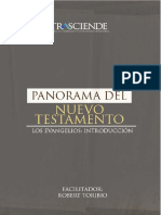 Nuevo Testamento Panorama 2