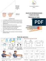 Pauta SD Tunel Carpiano PDF