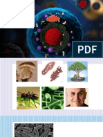 Células Procariota Vs Eucariota