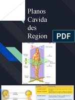 Planos Cavidades Regiones