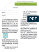 Práctica 1 2P Fisica Leyes de La Termodinamica