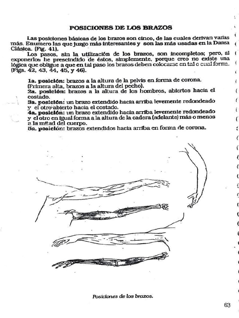 Posiciones de Los Brazos | PDF