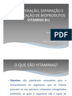 Recuperação e purificação de vitamina B12 em bioprodutos