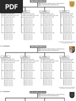 Special Forces Group Organization - After The Growing of SF Community