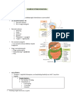 Emésztőrendszer