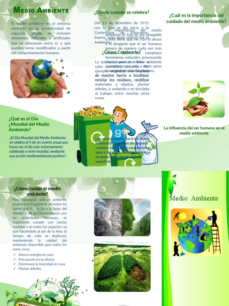 Triptico Del Medio Ambiente 3 | PDF | Entorno natural | Residuos