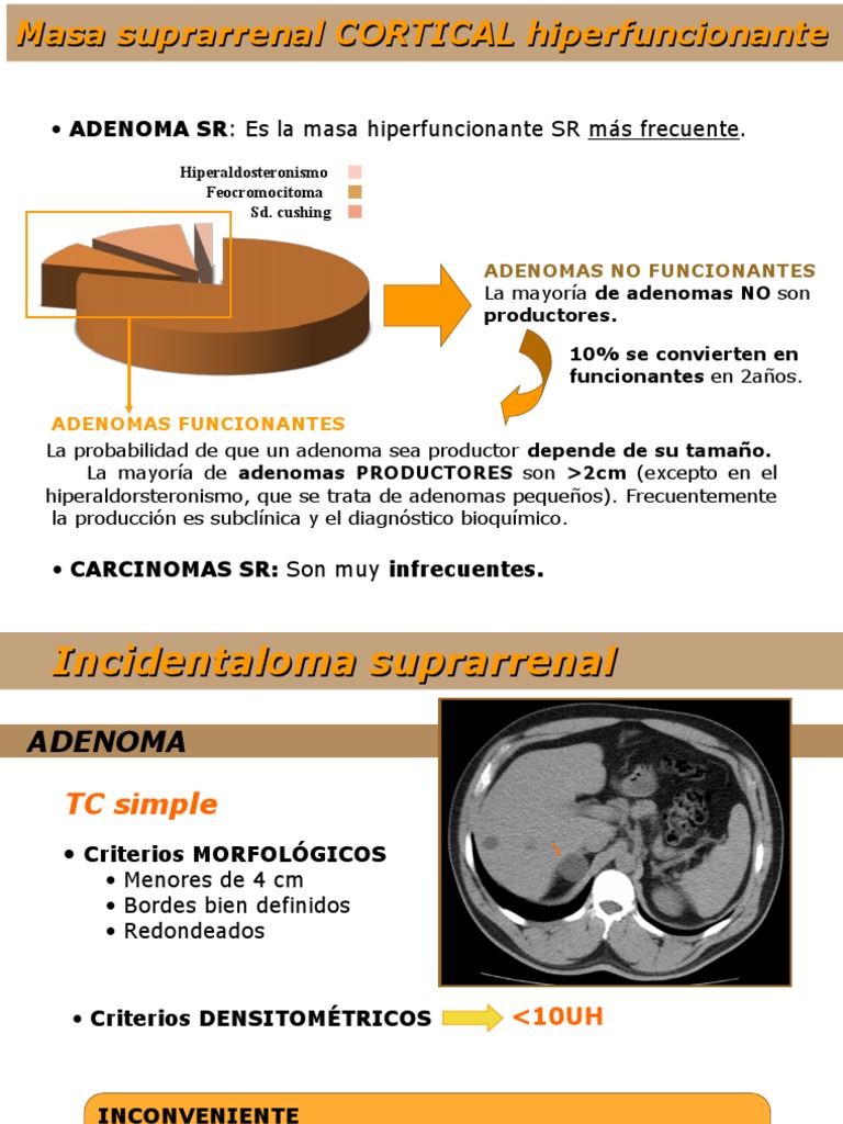 Abdomen - Adrenal - Adenoma - MRI, TC | PDF | Órgano (anatomía ...