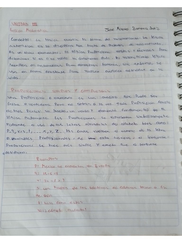 Apuntes Unidad 3 | PDF
