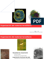 Organización del material hereditario