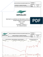 INFORME SFRA FASE T CHINCHA NUEVA