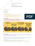 Soil Formation