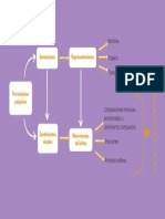 Wundt - Las Formaciones Psíquicas