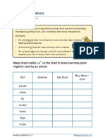 grade-3-adaptations-b