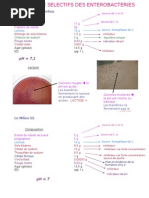 Api 20 E Instructions