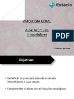 Aula - Acúmulos Intracelulares 