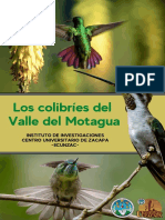 Colibríes Motagua