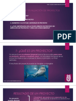 Generación Y Evaluación de Proyectos: 1-¿Qué Es Un Proyecto?