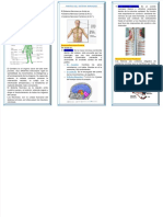 Vdocuments - MX - El Sistema Nervioso Triptico