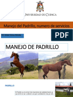 Manejo Del Padrillo, Numero de Servicios