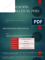 Organización Sanitaria en El Peru