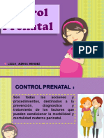 Control Prenatal Materno I