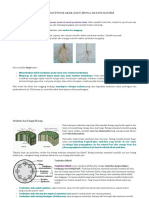 Struktur Dan Fungsi Tumbuhan