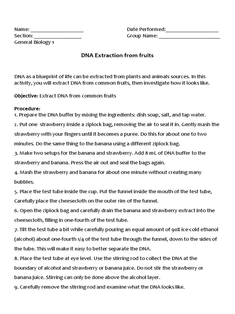 Strawberry DNA Extraction Lab Worksheet | PDF | Ethanol | Banana
