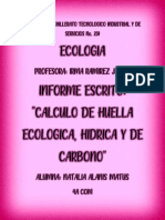 Informe Escrito-Calculo de Huella Ecologica, Hidrica y de Carbono