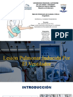 Lesion Pulmonar Grupo 1