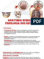 Anatomia e fisiologia dos sistemas e distúrbios ósseos