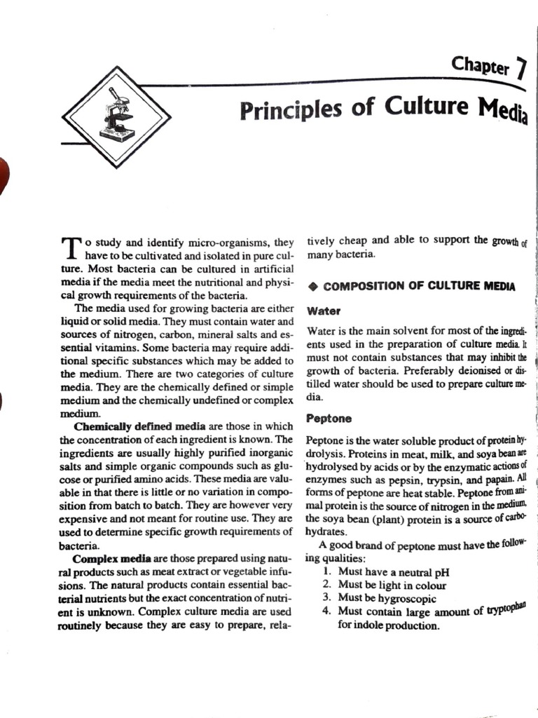 Culture Media Lab Literature PDF