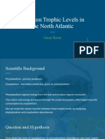 Plankton Trophic Levels in The North Atlantic