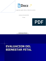 Evaluacion Bienestar Fetal 109405 Downloable 2543701