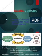 Metabolisme Mikroorganisme